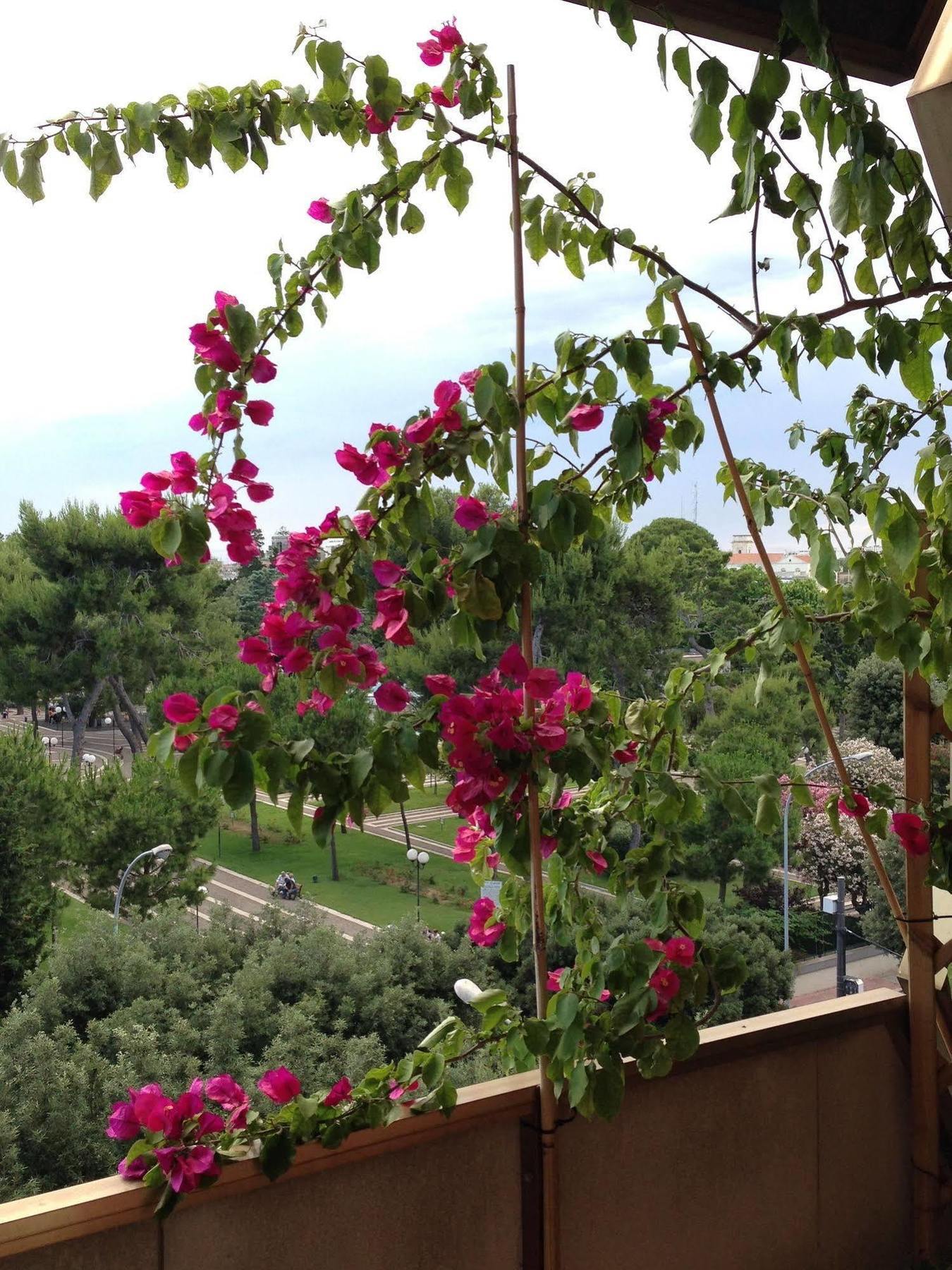 레체 Larala' B&B 외부 사진